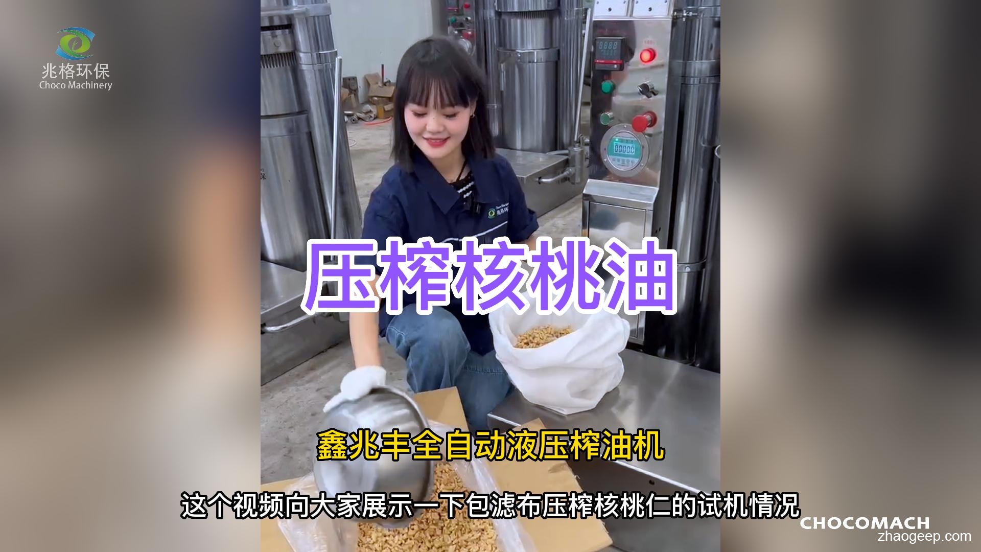 鑫兆豐YZL全自動(dòng)液壓榨油機(jī) 核桃榨油機(jī) 專(zhuān)業(yè)廠家鮮榨核桃油