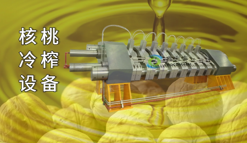 全自動臥式液壓核桃榨油機工業(yè)項目案例